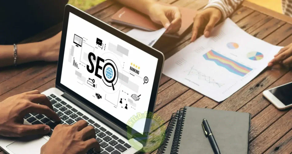 coimbatore seo company